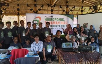 Cetak Peluang Usaha Baru, Al-Wafa Foundation Gelar Pelatihan Budidaya