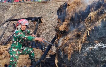 Cerita TNI dan BPBD Terobos Medan Terjal, Padamkan Api di Kasepuhan Cipta Mulya