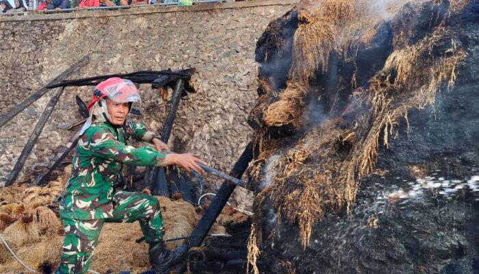 Cerita TNI dan BPBD Terobos Medan Terjal, Padamkan Api di Kasepuhan Cipta Mulya