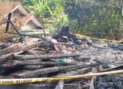 Kebakaran Cibodas Sukabumi