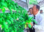 Lapas Sukabumi Sulap Lahan Sempit