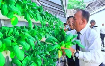 Lapas Sukabumi Sulap Lahan Sempit Jadi Sumber Ketahanan Pangan