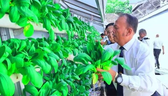 Lapas Sukabumi Sulap Lahan Sempit Jadi Sumber Ketahanan Pangan