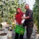 Petik Melon Premium Jadi Magnet Baru Cisolok
