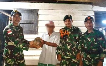 Selamatkan Trenggiling, Satgas Yonarmed 13 Kostrad