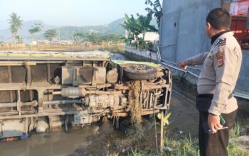 Sopir Tak Hafal Jalur, Truk Hino Terjun ke Sawah di Cisolok
