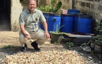 Gaplek Sukabumi, Dari Tradisi Jadi Ekonomi