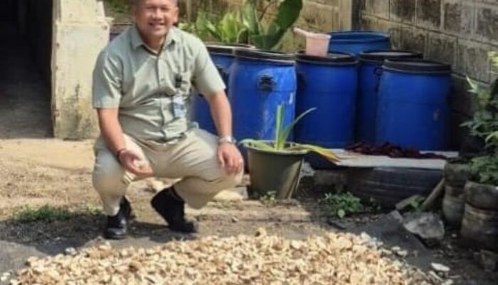 Gaplek Sukabumi, Dari Tradisi Jadi Ekonomi