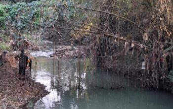 Limbah Batu Hijau di Cikembar Cemari Sungai, KDM Turunkan Tim