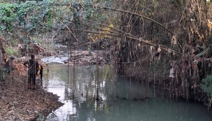 Limbah Batu Hijau di Cikembar Cemari Sungai, KDM Turunkan Tim