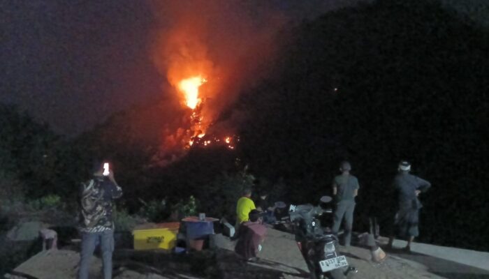 Api Mengamuk di Gunung Pangleseran, BPBD Lakukan Pendataan