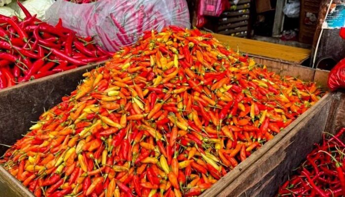 Harga Cabai Rawit Merah Tembus Rp63.200 per Kg, Telur Rp29.150