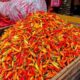 Harga Cabai Rawit Merah Tembus Rp63.200 per Kg, Telur Rp29.150